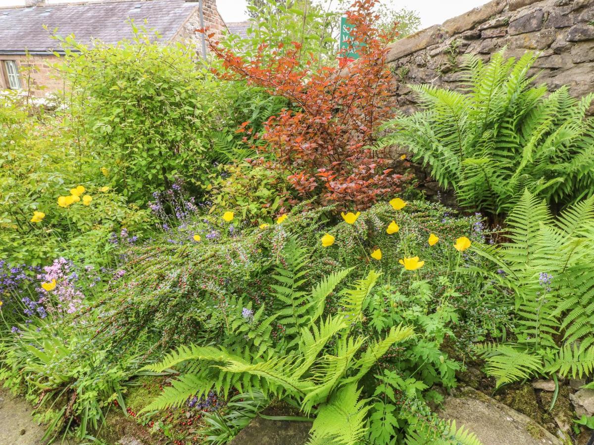 Holly Cottage Matlock  Exterior photo